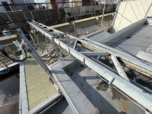 S__43581538_コピー