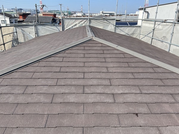 S__93519875_コピー