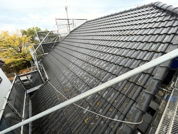 S__3440646_コピー