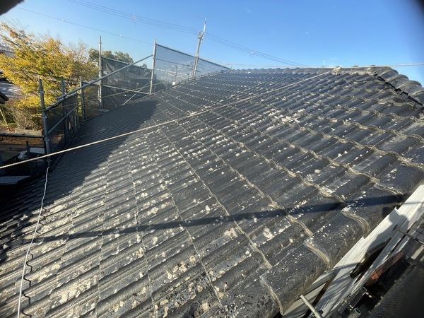 S__3440647_コピー