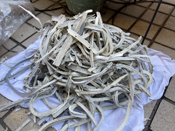 S__3506217_コピー