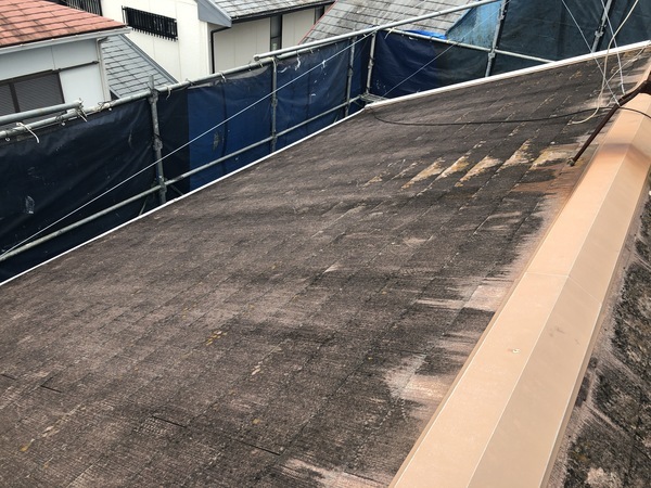 6D8D85E5-E7F0-42C1-9B90-315232BC582A_コピー