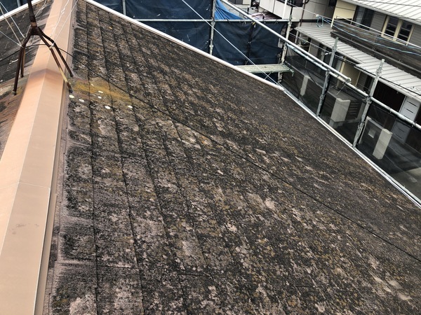 4D6EF55E-280E-4288-B7A3-EF41DDBCB77C_コピー