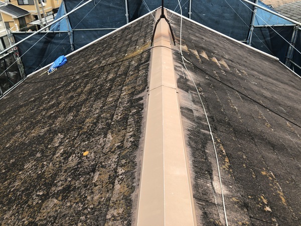 B071EAE4-E5BB-460E-91BA-E01DDC1F91FC_コピー