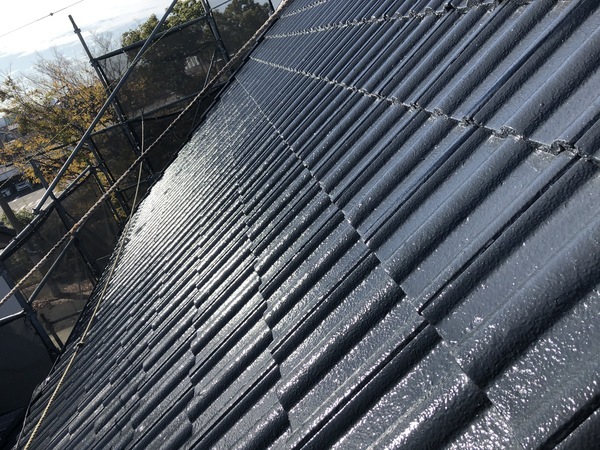 5CBE7DBD-2146-492B-89D4-CEC631D0D239_コピー_コピー