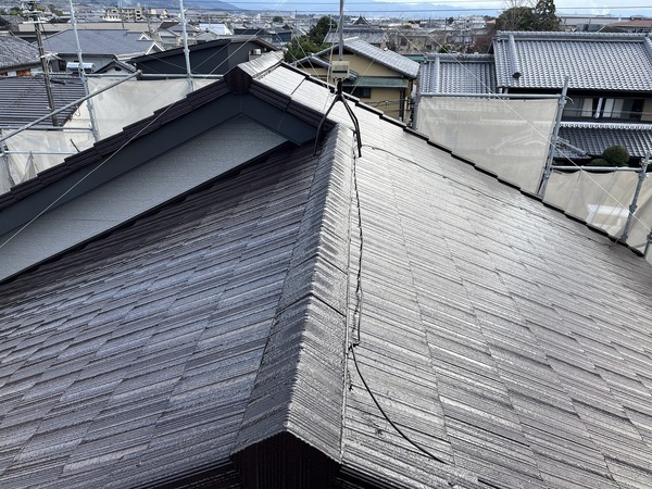 S__94486544_コピー