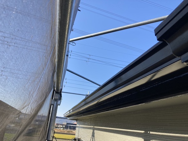 S__33316881_コピー