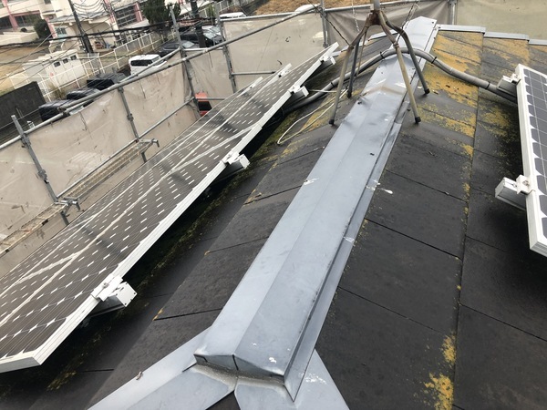 19FAE563-DCDE-498C-9828-2D17CB6BF8B1_コピー