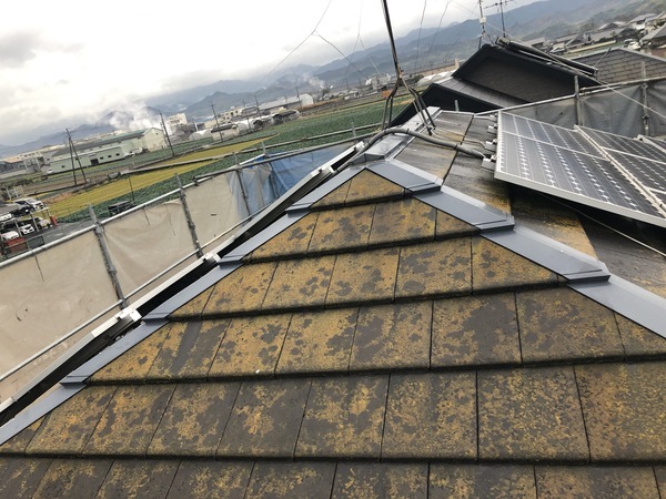 888E0487-4B5D-4AB5-A0A6-A83CA3A57D45_コピー