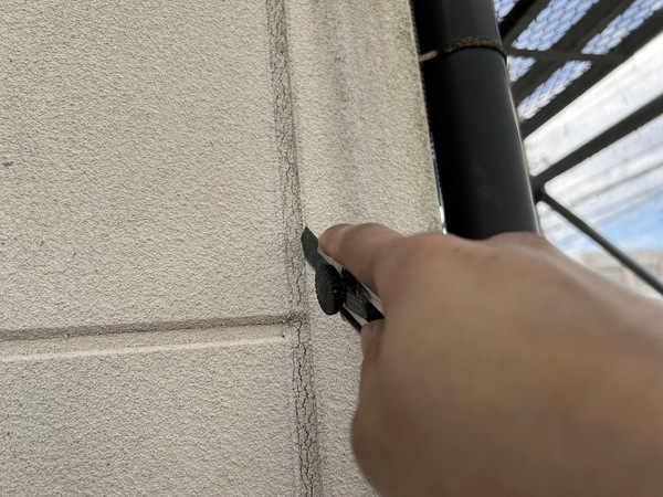 S__1466374_コピー