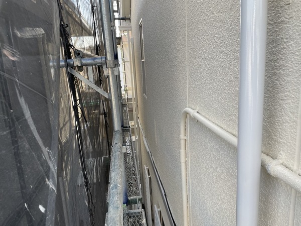 S__3989550_コピー