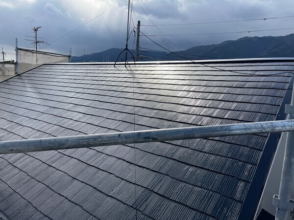 S__96985098_コピー