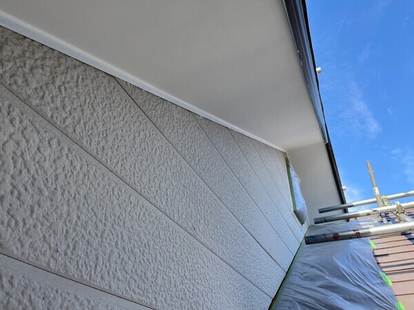 S__97165325_コピー