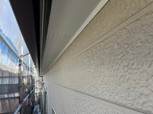 S__97165328_コピー