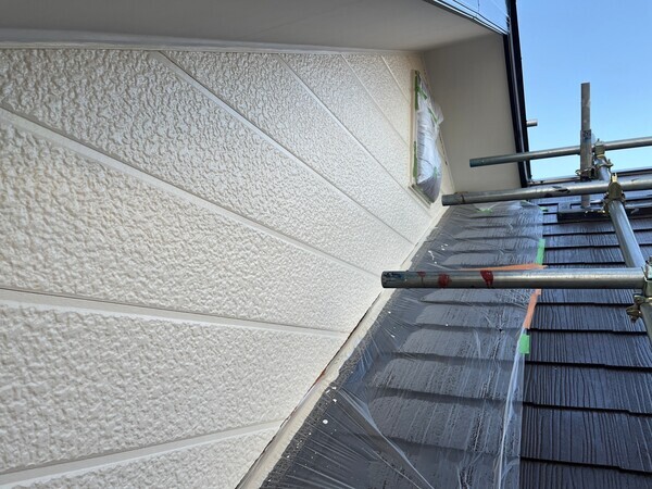 S__97337363_コピー