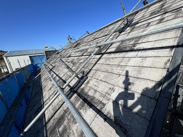 S__44351571_コピー