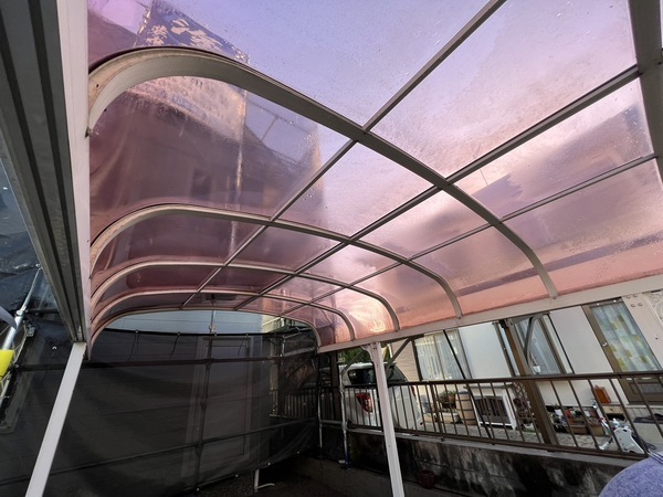 S__44351578_コピー