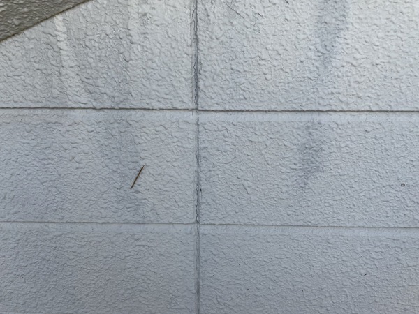 S__5799997_コピー