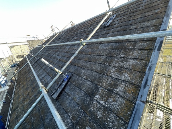 S__44351511_コピー