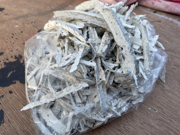 S__5800013_コピー