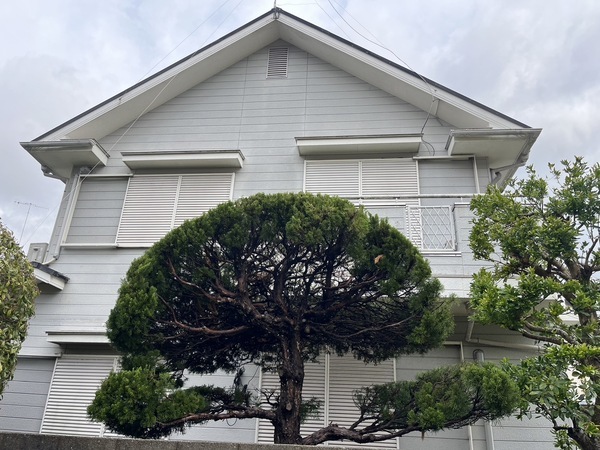 S__59465730_コピー