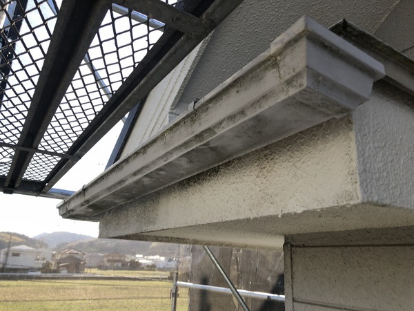 CF5EED5C-BA81-4353-A976-132315872D8B_コピー