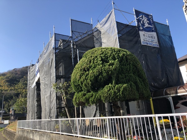 B0785BE9-38A8-4493-9B60-C6725BCFBEC2_コピー