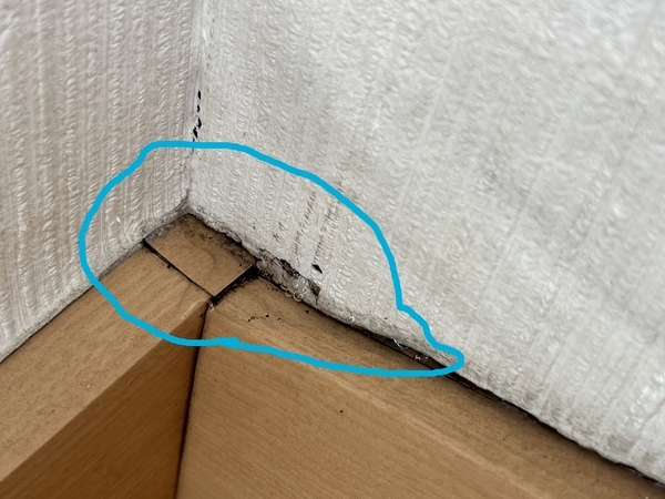 S__59572247_new_コピー