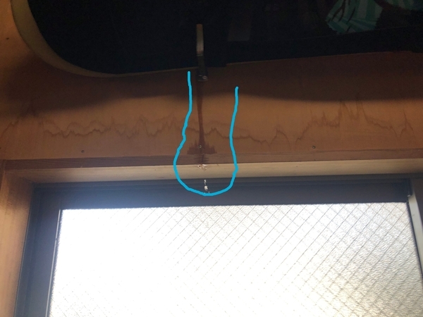 E8731882-E6B8-44D9-82C2-1ECDECD87007_new_コピー