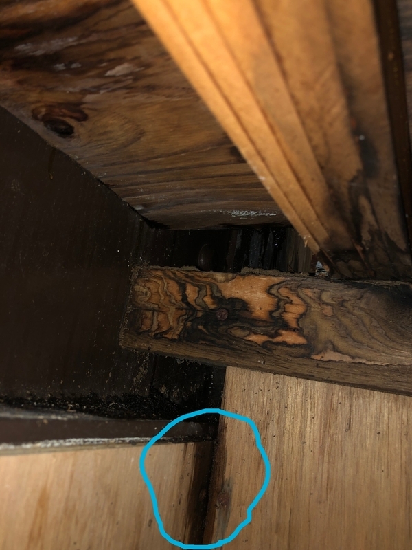 67C3CB24-40A6-4533-B033-E85353D8EB3C_new_コピー