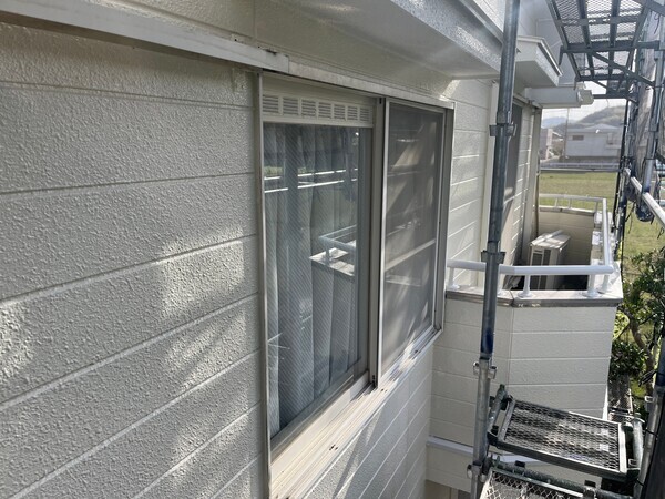 S__98304007_コピー