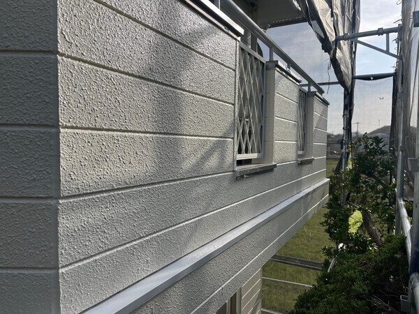 S__98304023_コピー