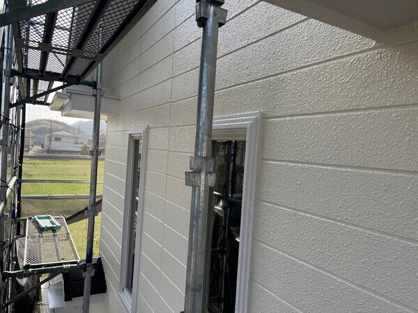 S__98304019_コピー