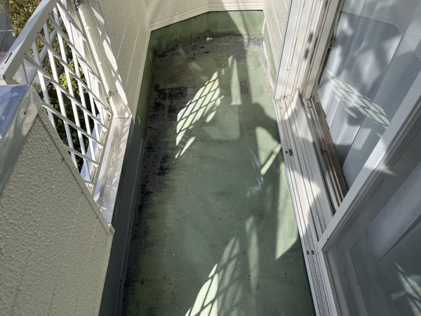 S__37027845_コピー