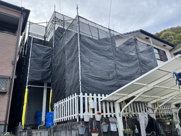 S__124674054_コピー