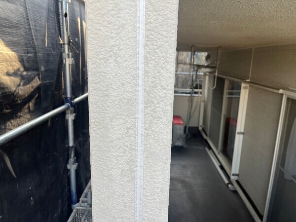 S__98541613_コピー