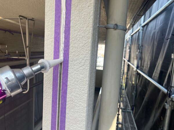 S__98541609_コピー