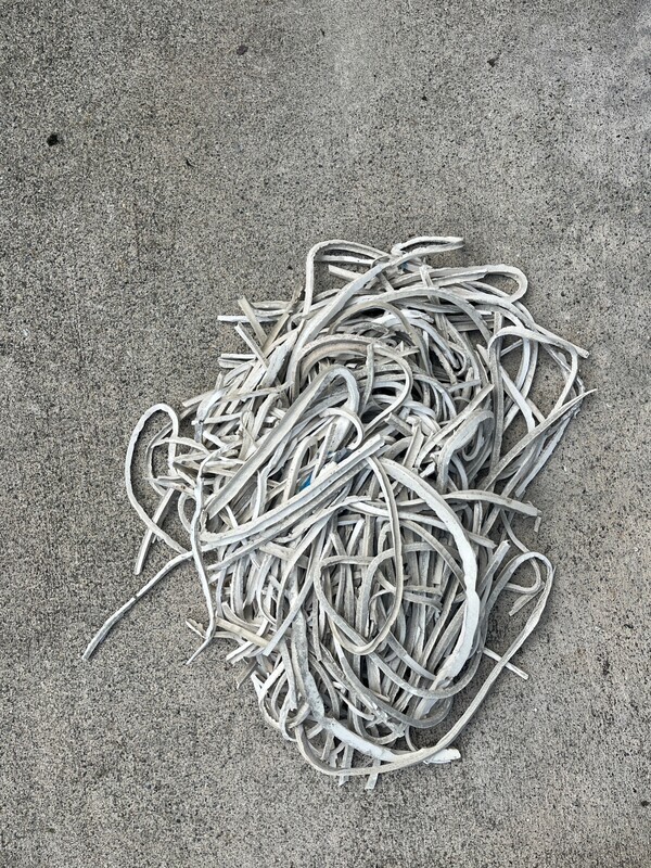 S__98426893_コピー