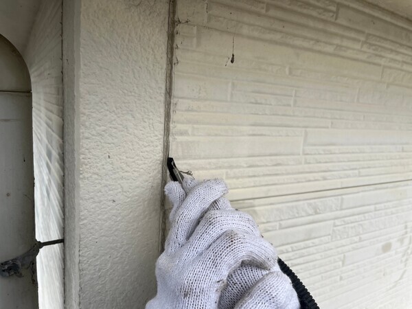 S__98426888_コピー