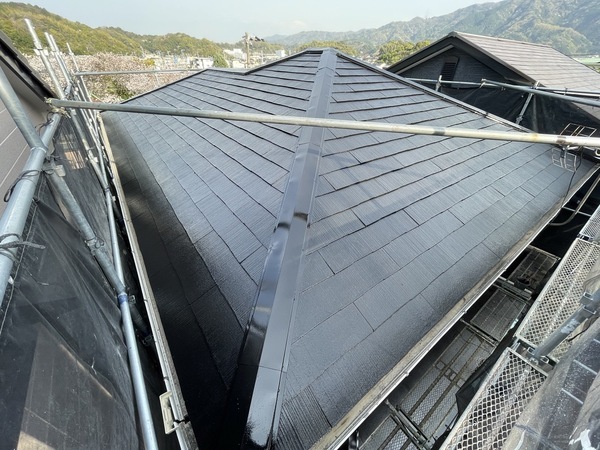 S__6045713_コピー