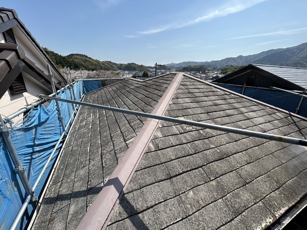 S__2474033_コピー