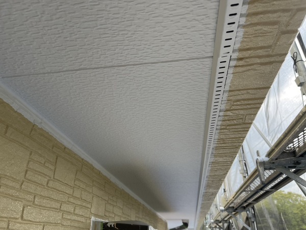 S__37355538_コピー