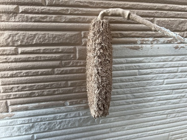 S__44605495_コピー