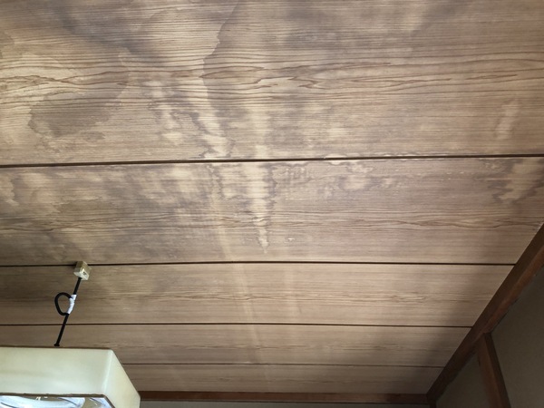 C987A1E7-1CCE-4BD3-8D0D-32BA012D45DC_コピー