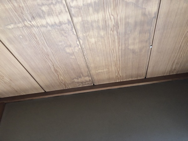 230CDEAC-4F0D-4195-881D-F86964120766_コピー