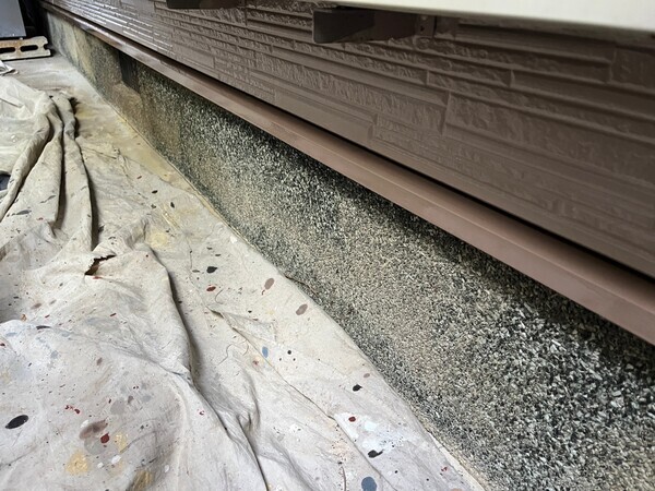 S__98811923_コピー