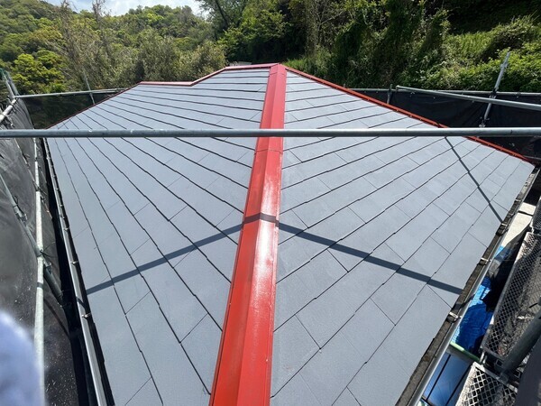 S__98910213_コピー