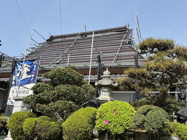 S__37576711_0_コピー