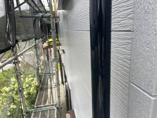 S__99074077_コピー