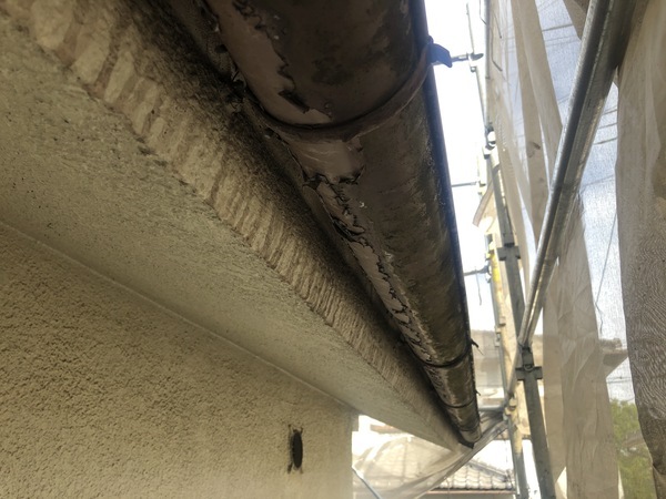 659F0E7C-A7A4-4392-9109-8E9E6EEB8EB6_コピー